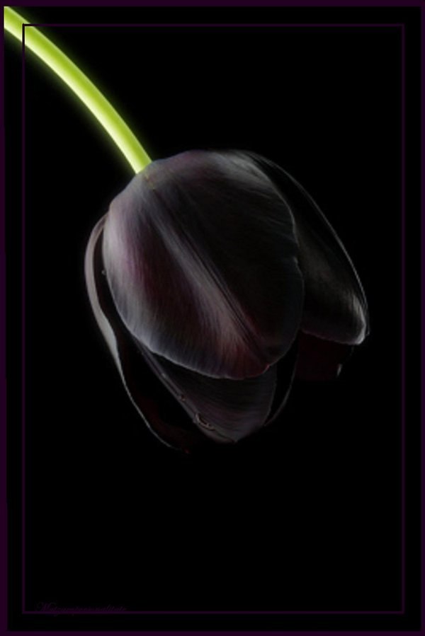 Анна Никулина | Якутск