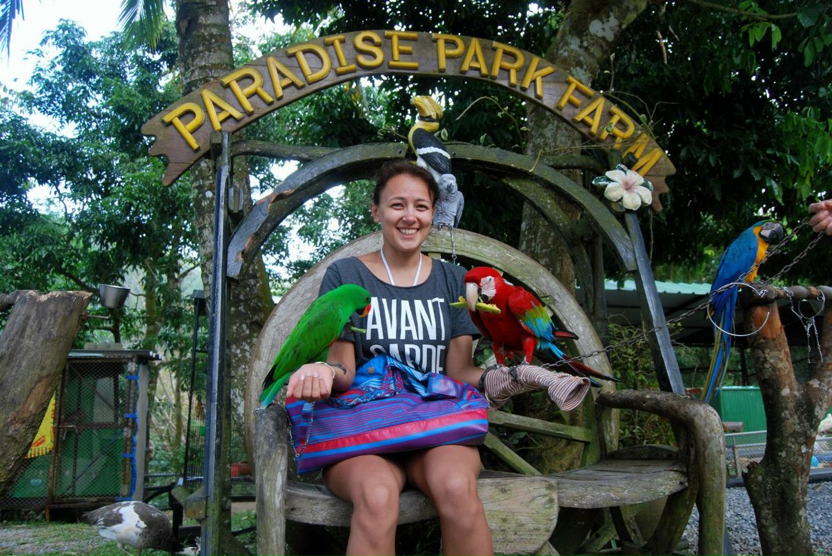 Денис Гридчин | Новосибирск