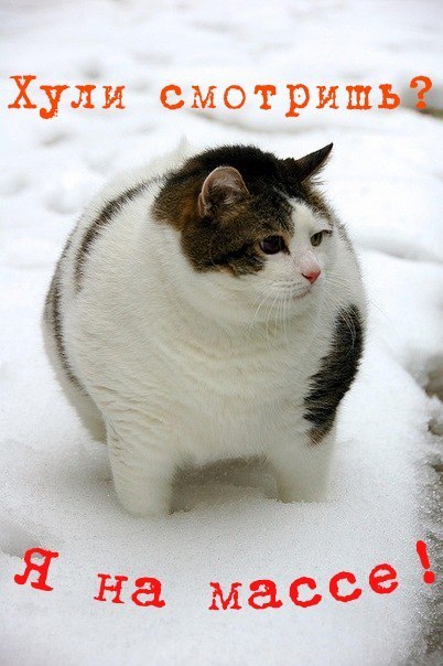 Евген Степанов ٩(̾●̮̮̃̾•̃̾)۶ | Москва