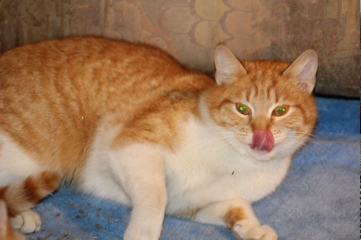 Валентина Есипчук | Киев