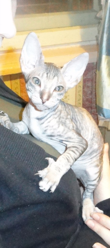 Валерия Ушакова | Мурманск