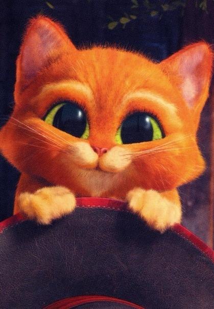 Алиса Ли | Ростов-на-Дону