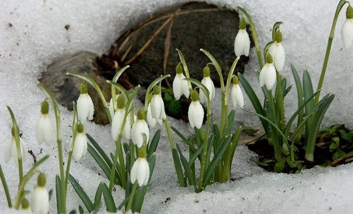 Ирина Ирискина 