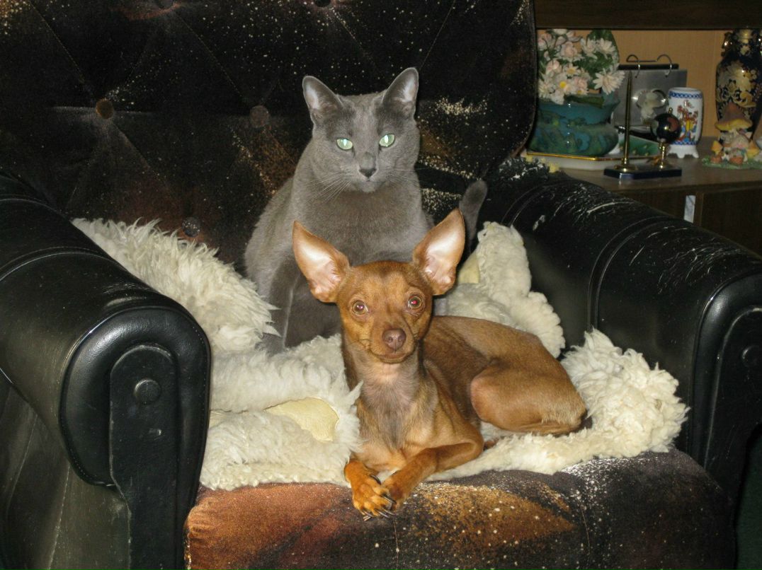 Наталья Первушина | 