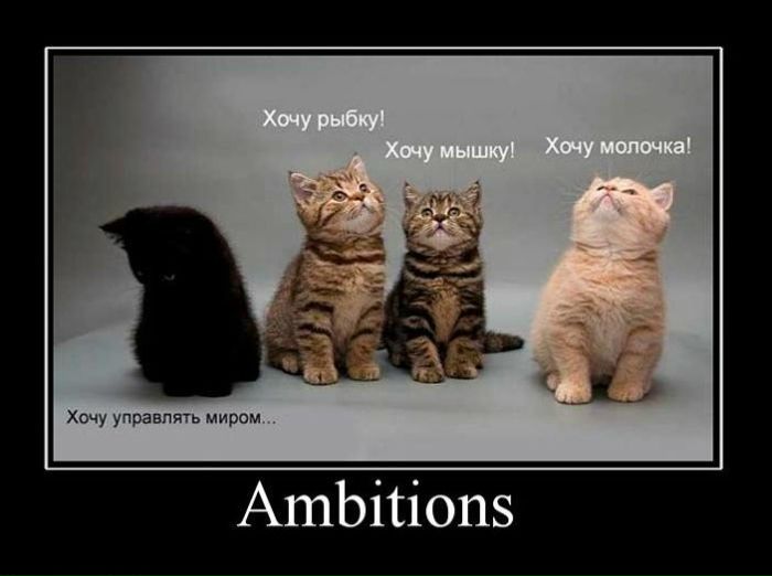 №105, Кристина Санталова, 40 лет, Москва №105, Кристина Санталова, 40 лет, Москва