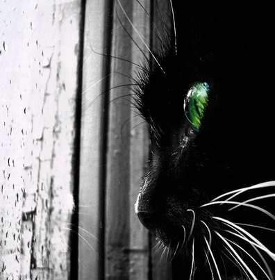 Ольга Садовская | Минск