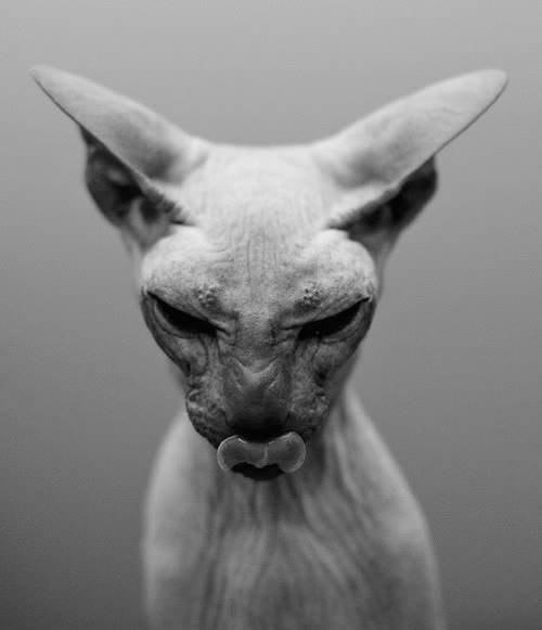 Ксения Сальникова | Тверь