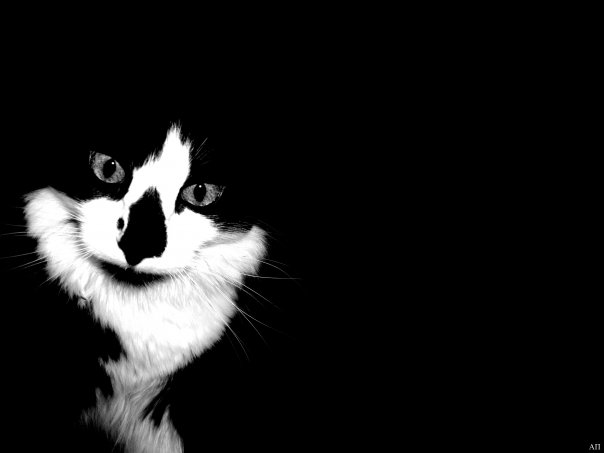 №42, Алёна Быкова, Апатиты №42, Алёна Быкова, Апатиты