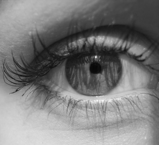 №100, Елена Коробчинская №100, Елена Коробчинская