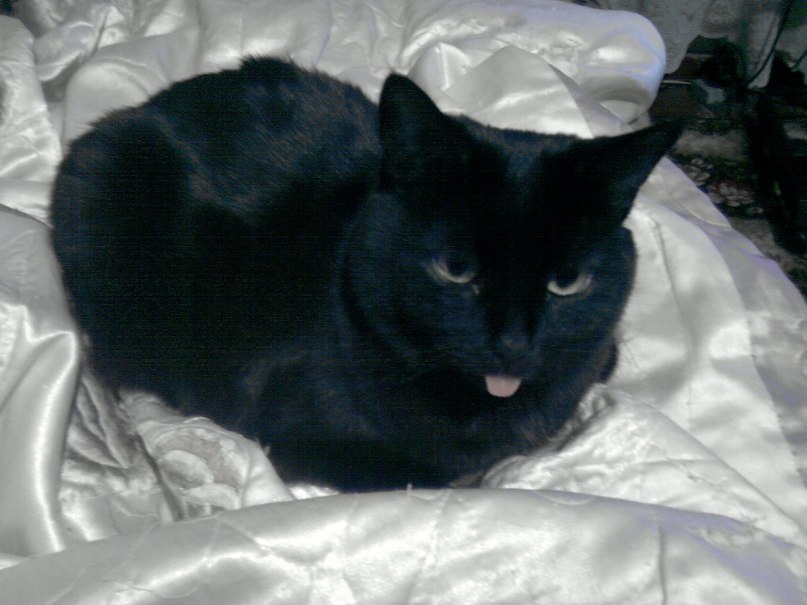 Ксения Мухалова | Дзержинск