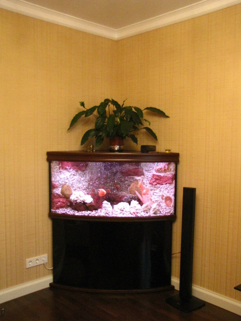 Александр Тимофеев | Санкт-Петербург