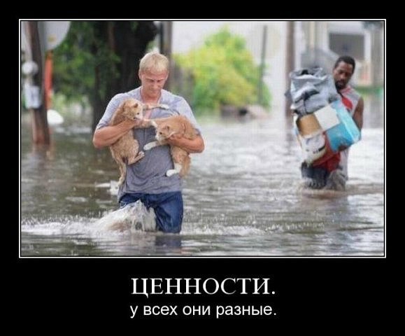 Вадим Сварной | Житомир