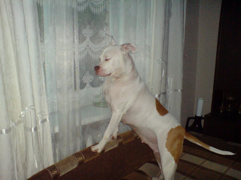 Жека Раджабов | Киев