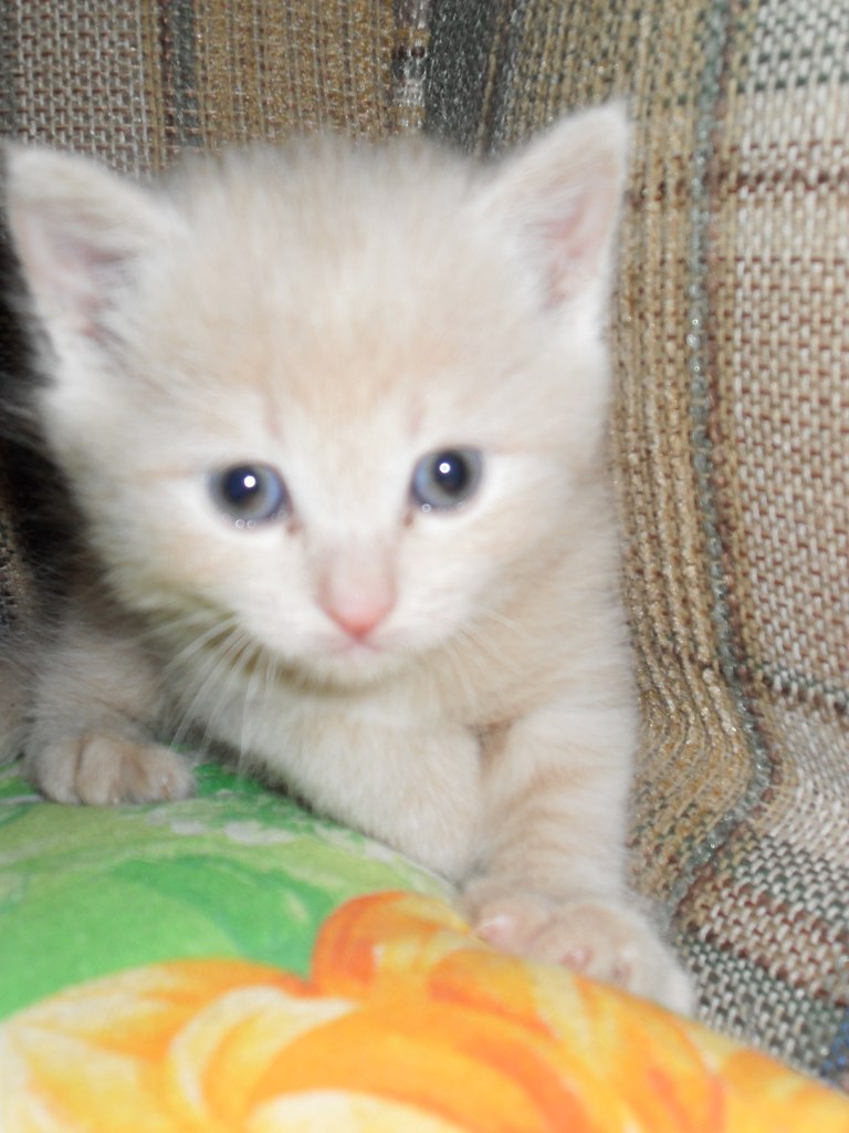 Гуля Голубина | Казань