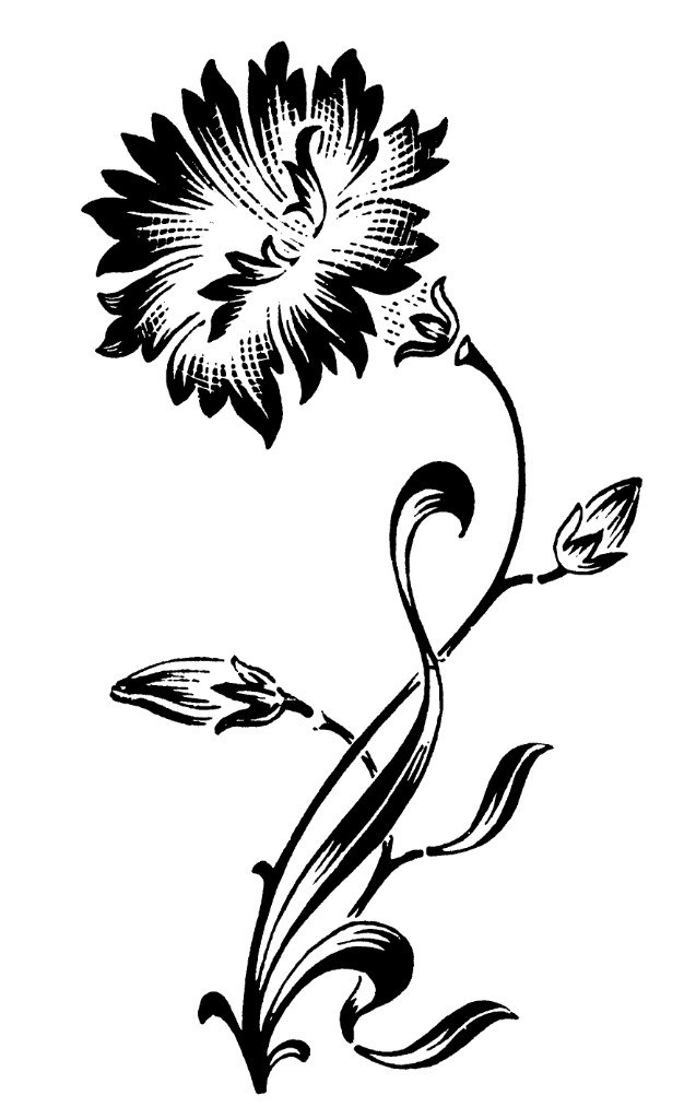 Сергей Кашка | Мелитополь