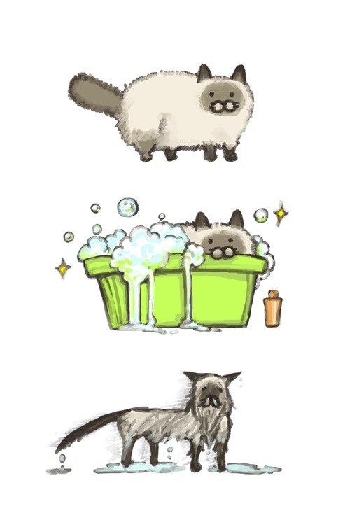 Виктория Панина | Ярославль