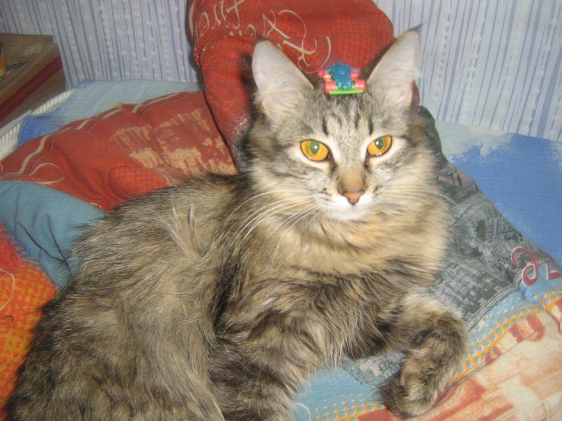 Дима Слинков | Краснодар