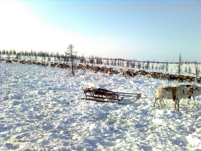 Женя Фёдоров | Нижнекамск