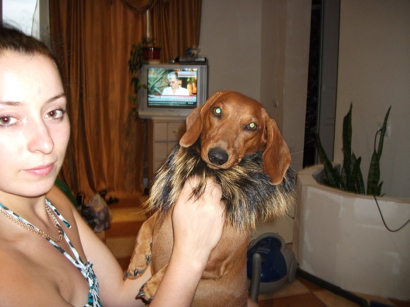 Виктор Кармалит | Одесса