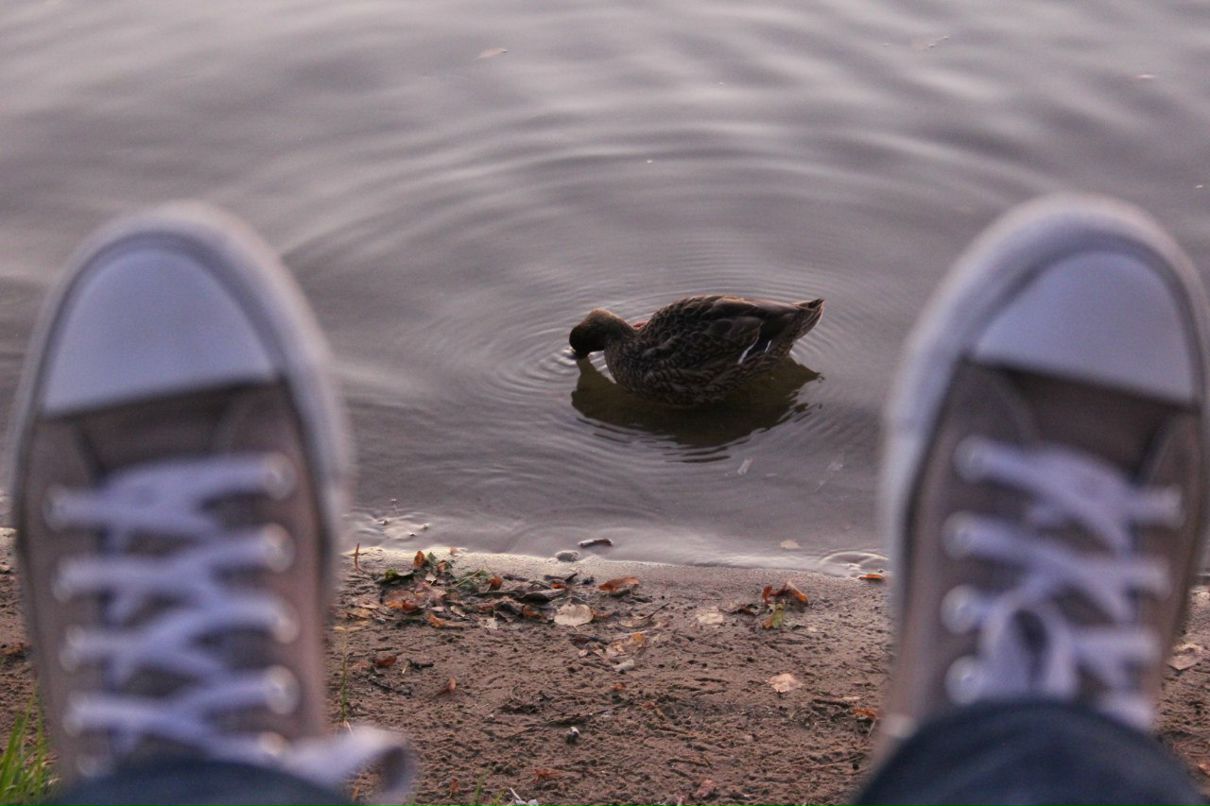 Иван Лучший | Молодечно