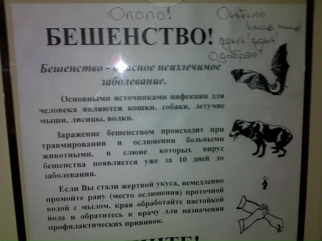 Serdar Garahanow | Харьков