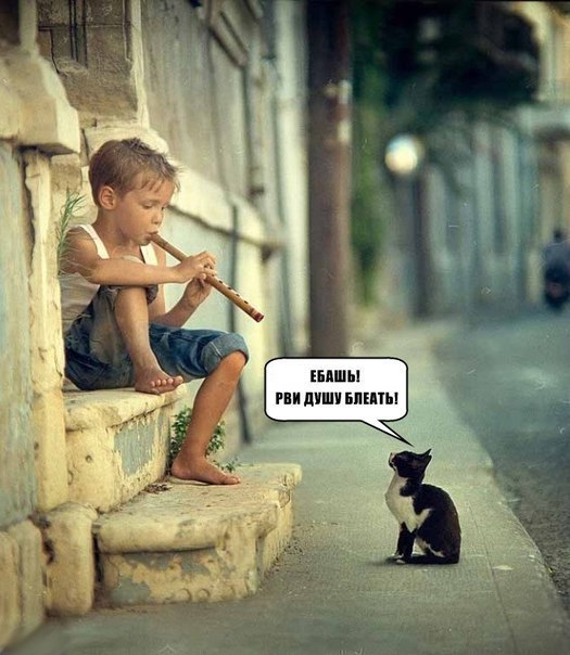 Степан Карпушенко | 