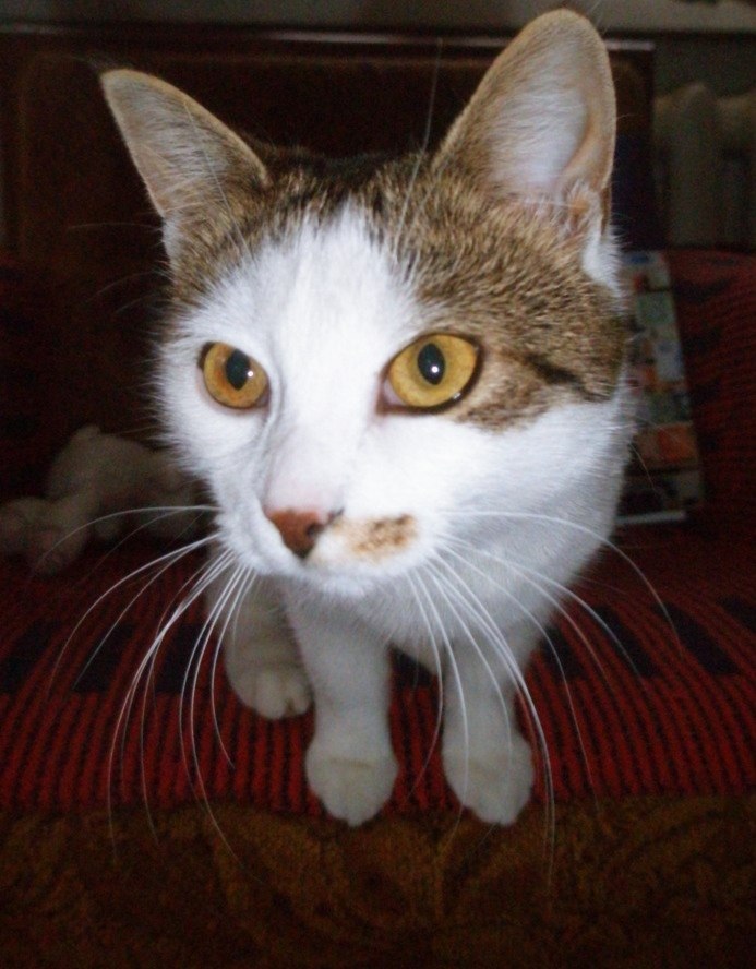 Наталья Курыгина | Гатчина