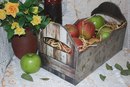 Фотография Анастасия Маковская