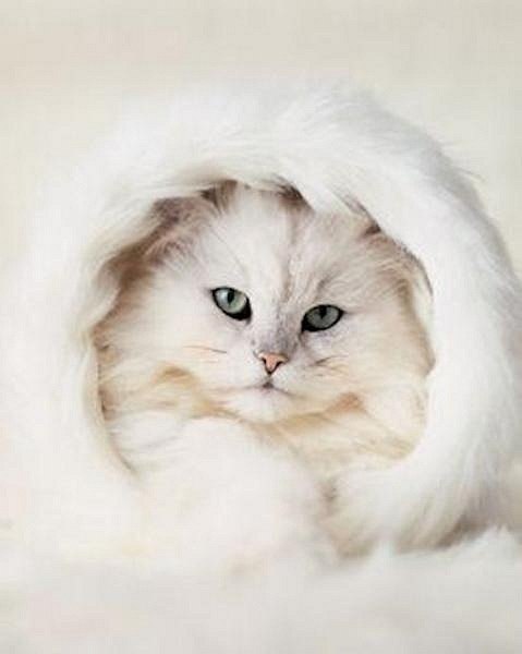 Юлия Игоревна | Одесса