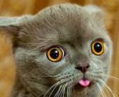 Роман Девятайкин | Нижний Новгород