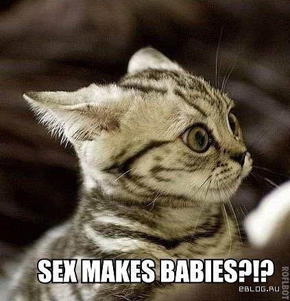 Полина Тамбовцева | Покровск / Красноармейск