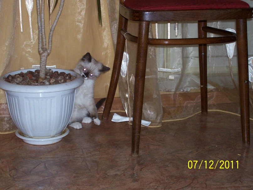 Галина Илларионова | Нижний Новгород