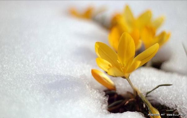 Мария Кормина | Чкаловск