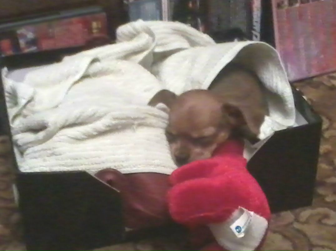 Надежда Хузина | Пермь