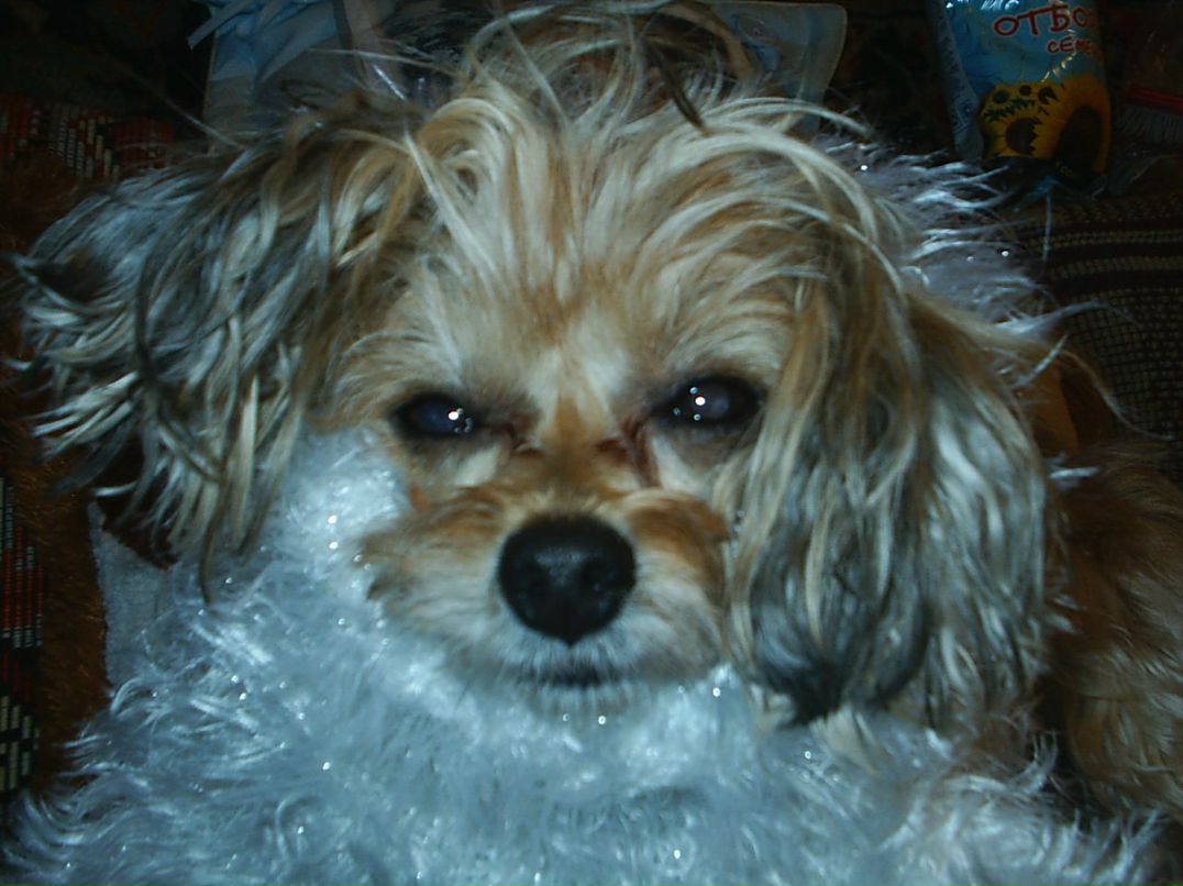 Алёна Кислякова | Санкт-Петербург