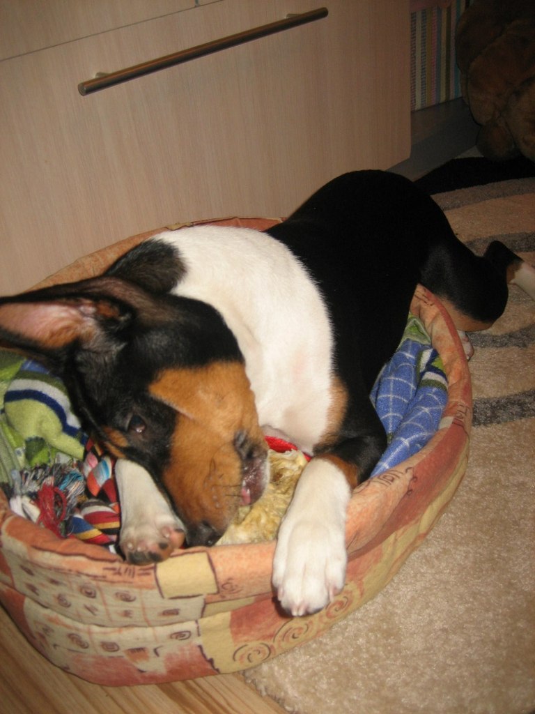 Ольга Яранцева | Санкт-Петербург