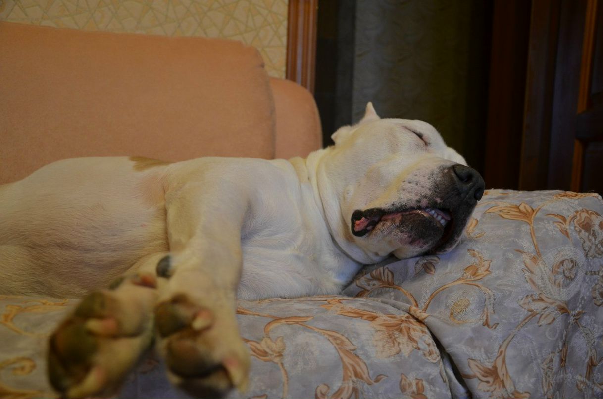 Александра Зеленина | Орехово-Зуево