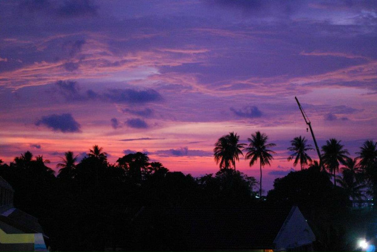 Карина Ецкало | Таллин