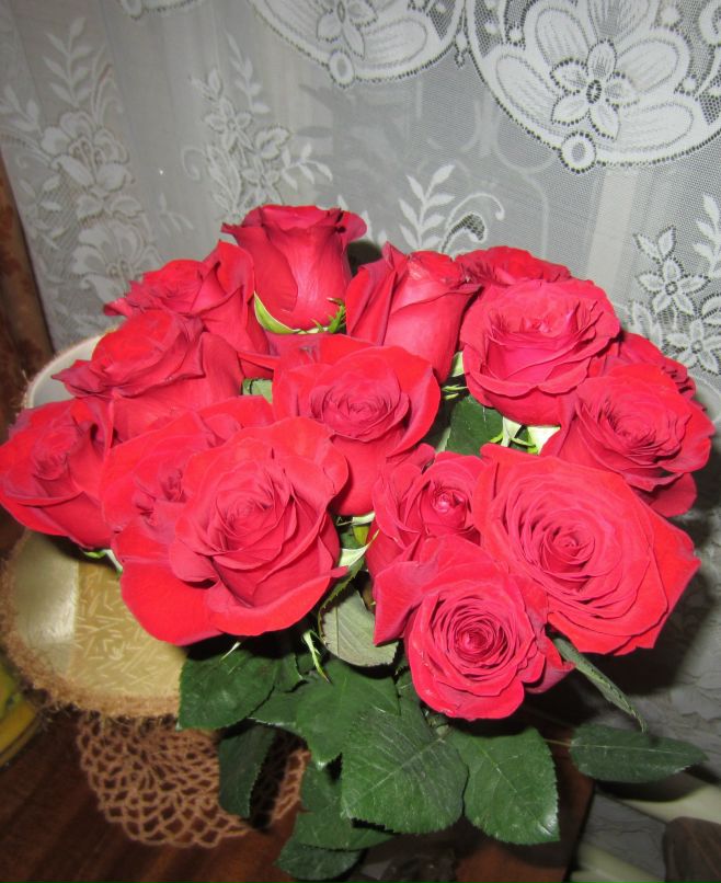 Катя Москвичёва | Йошкар-Ола