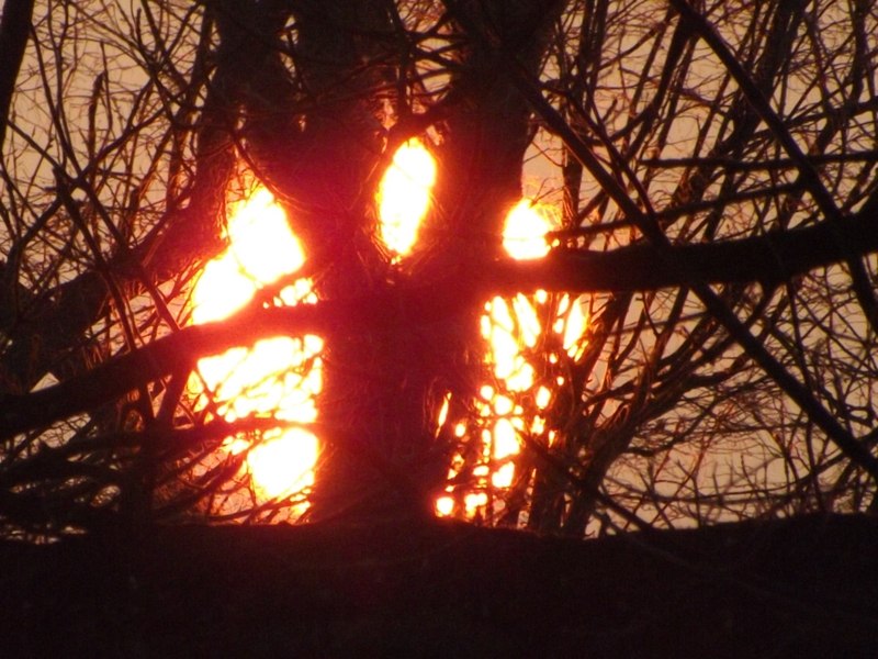 Александр Лойша Сергеевич | Скидель