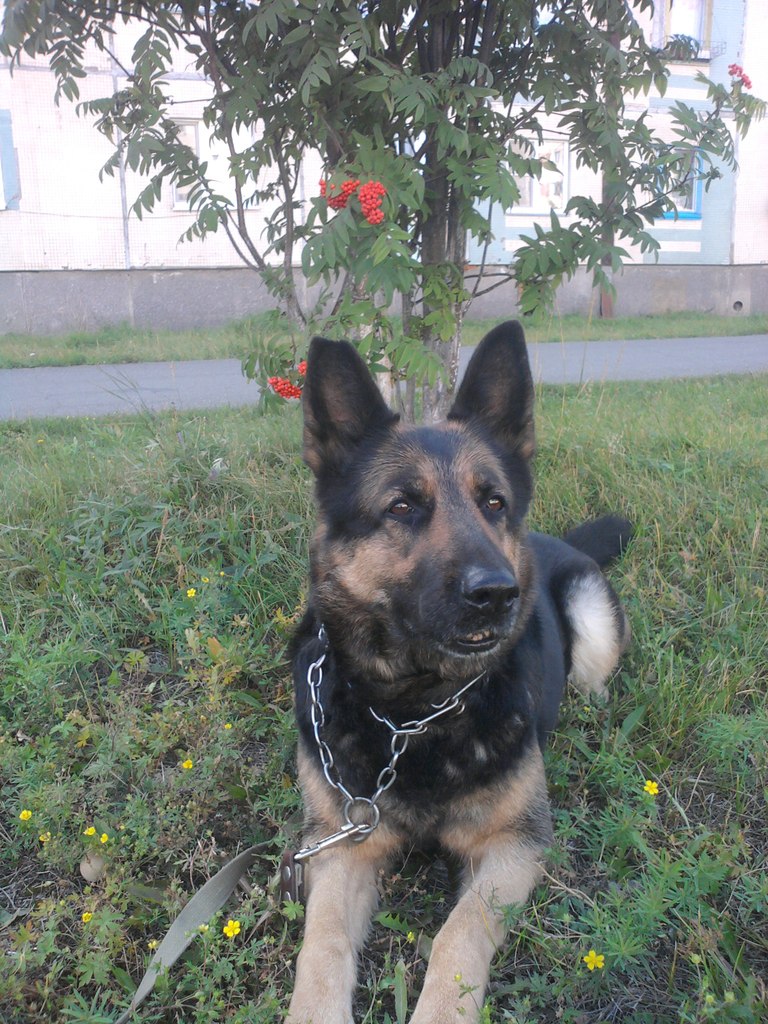 Юлия Захлёстова | Северобайкальск