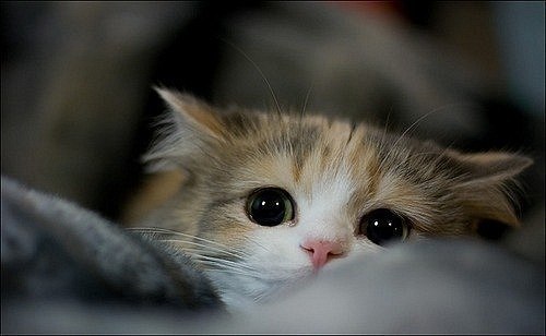 Нина Березнюк | Белгород-Днестровский