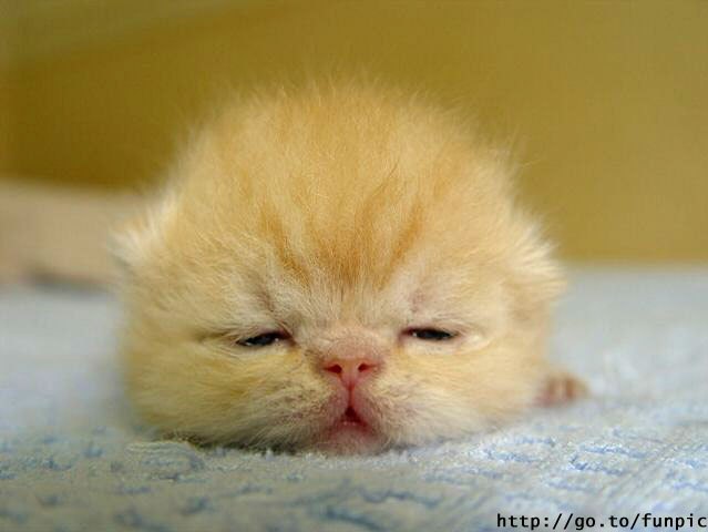 Марина Трушкова | Киров