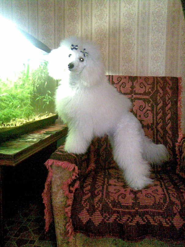 Надежда Литвинова | Якутск