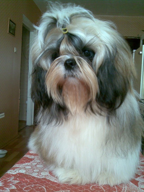 Надежда Литвинова | Якутск