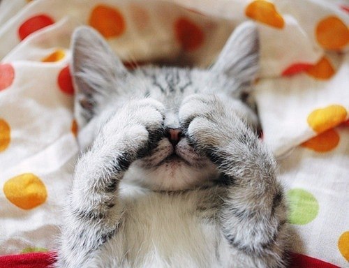 Ильнур Закиров | Казань