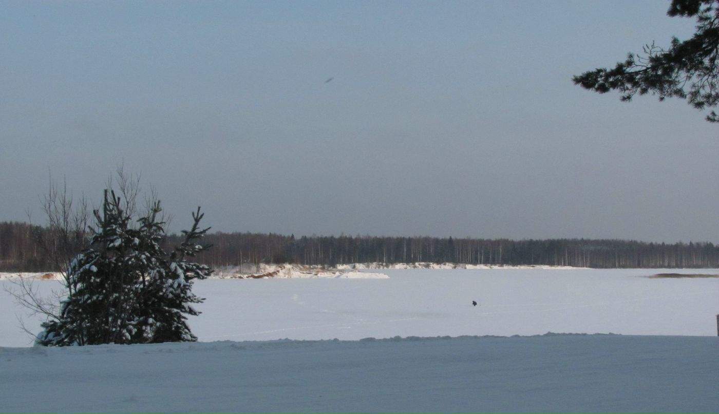 Юрий Лесков | Санкт-Петербург