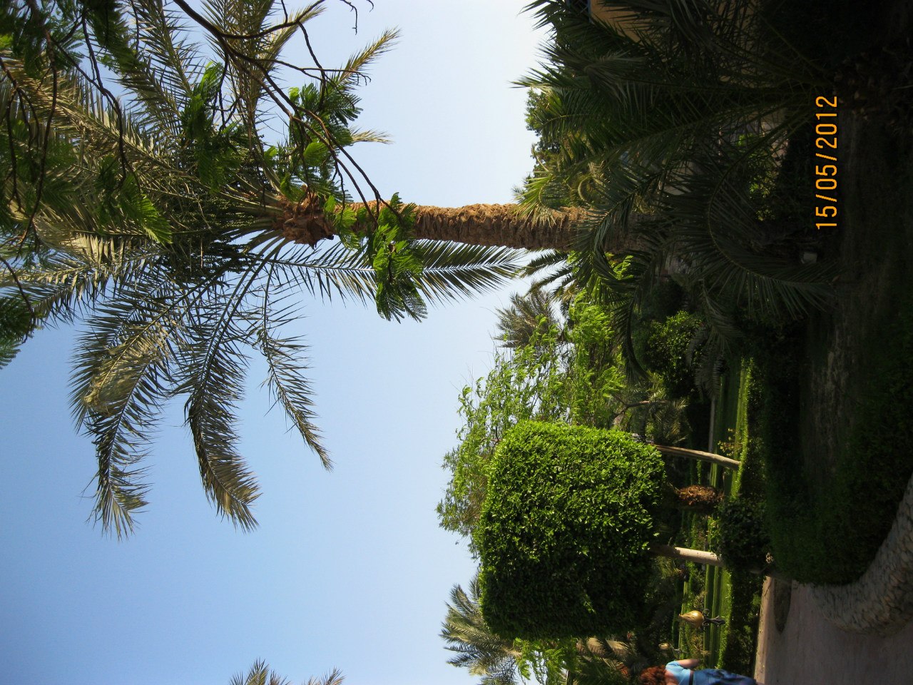 Надежда Антонова | Череповец