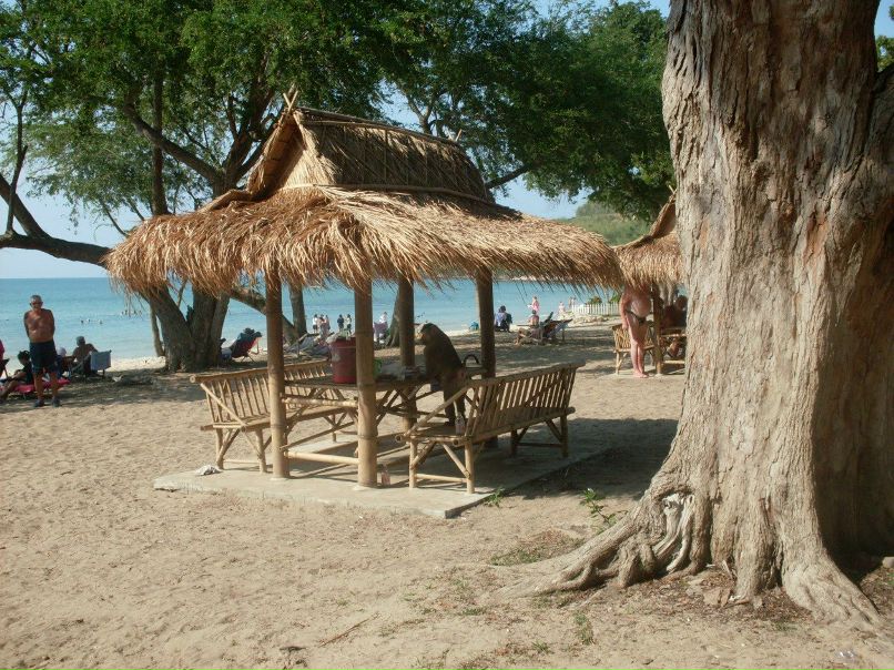 Светлана Федорова | Санкт-Петербург