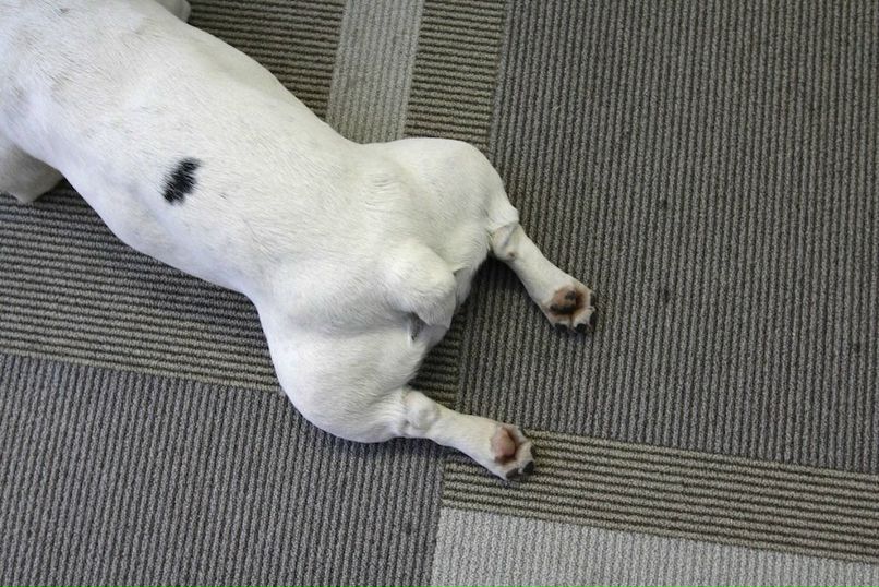 Марина Ковалёва << | Калининград